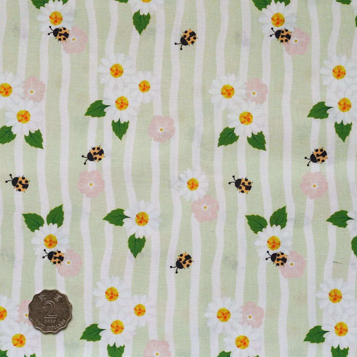 TFTA0204 Light Matcha Stripe Flowers