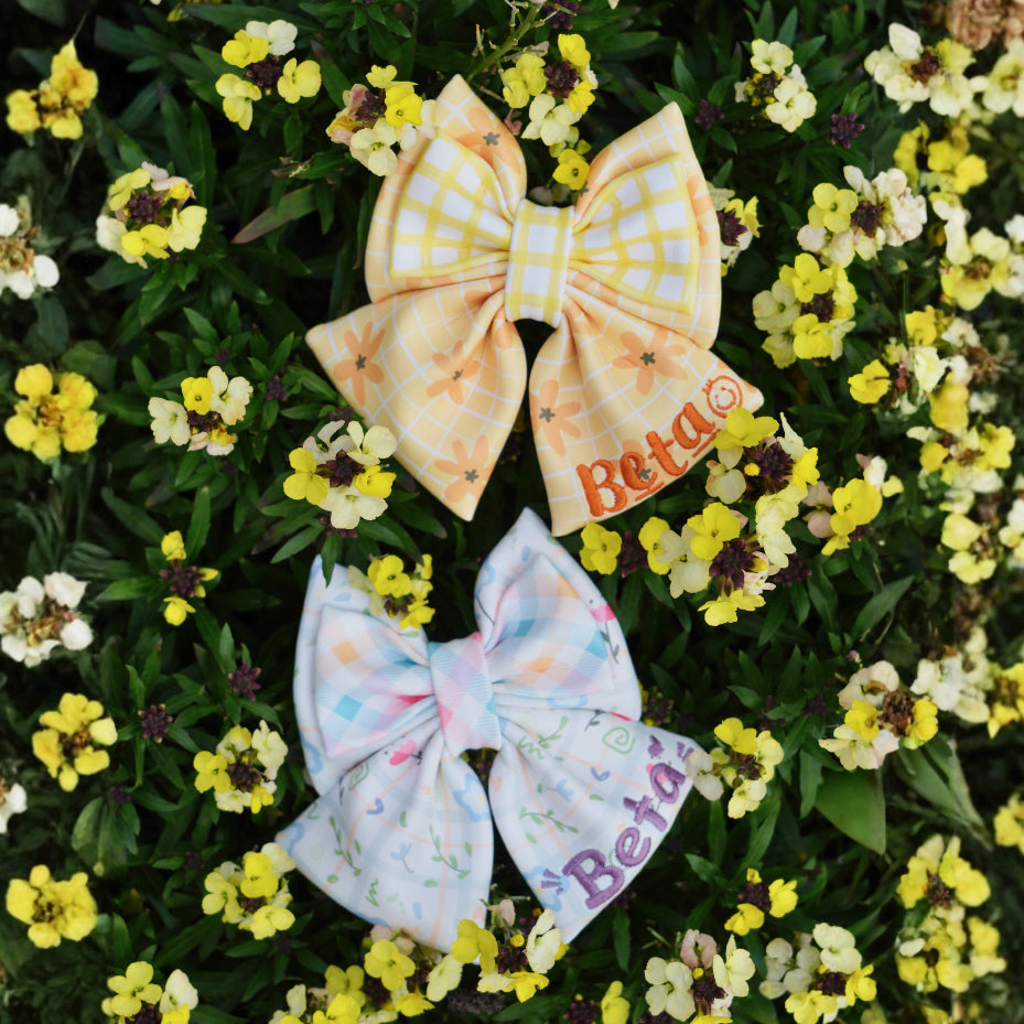 【2026落水狗】Go-Anywhere BIGBOW