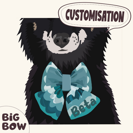Custom order｜BIG BOW with adjustable collar