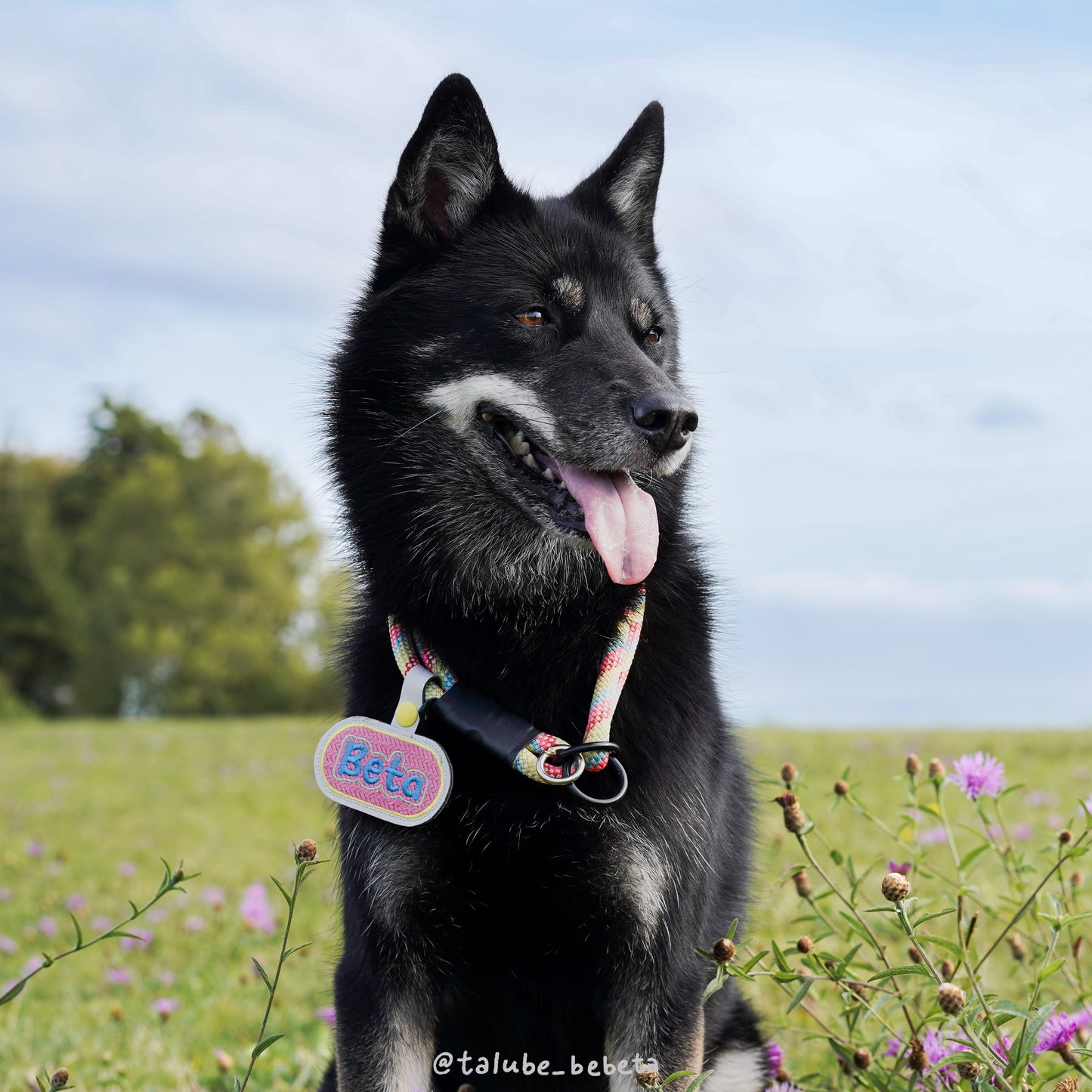 Personalised｜Capsule Tag