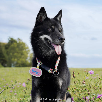 Personalised｜Capsule Tag