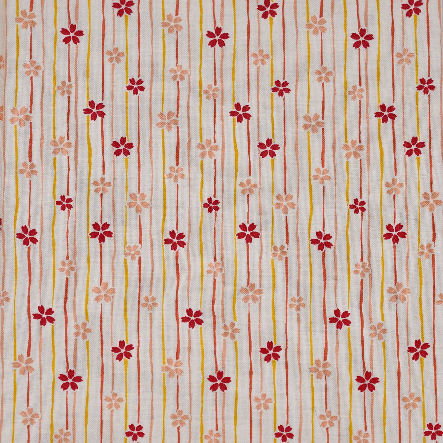 TFJP01 Ivory Sakura