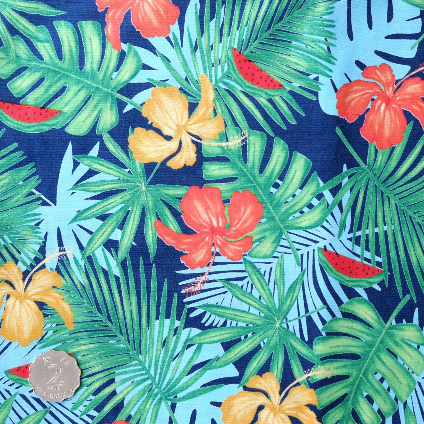 TFTW0119 Navy Hawaii