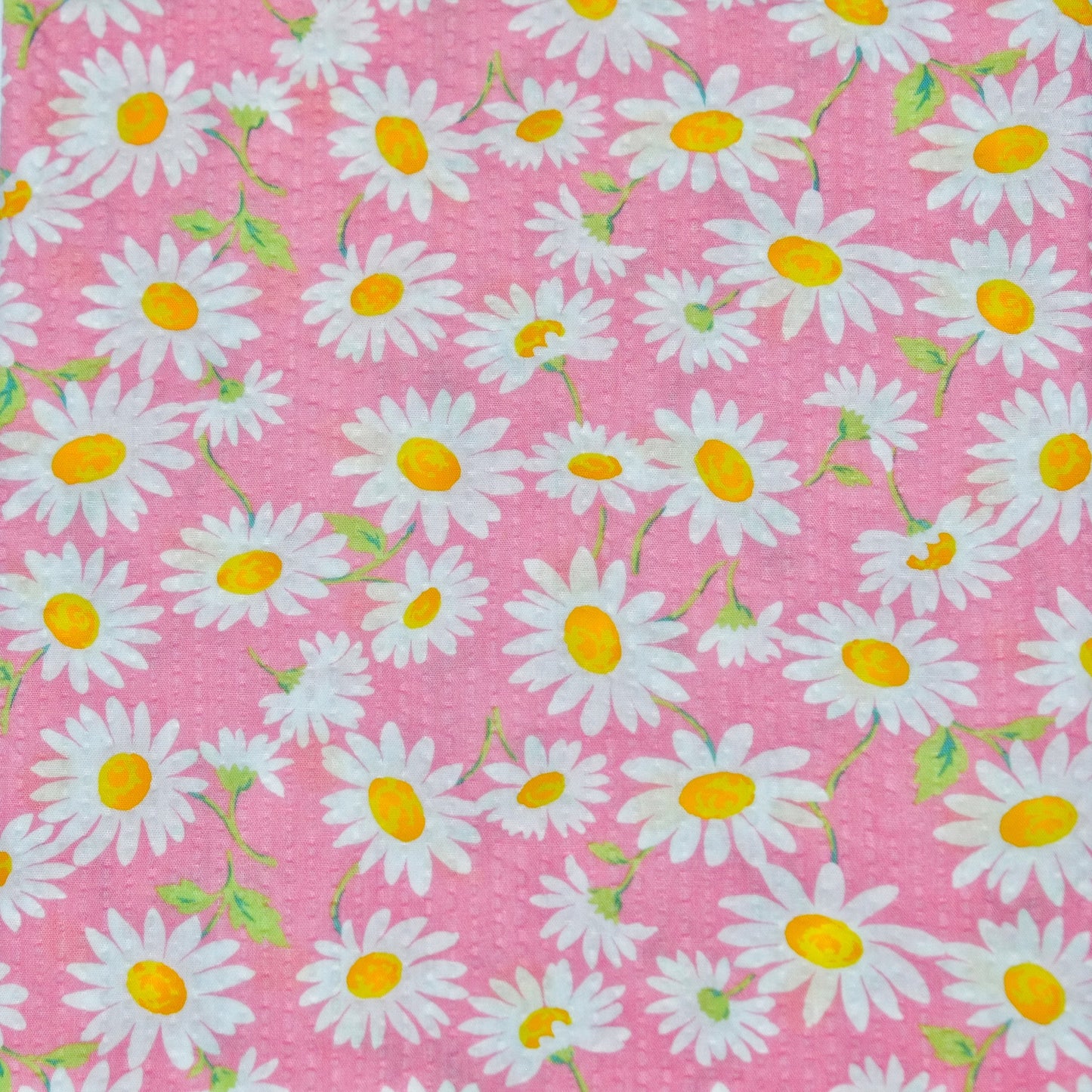 TFJP070 Pink Daisy