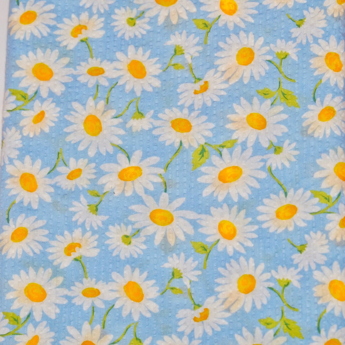 TFJP071 Blue Daisy