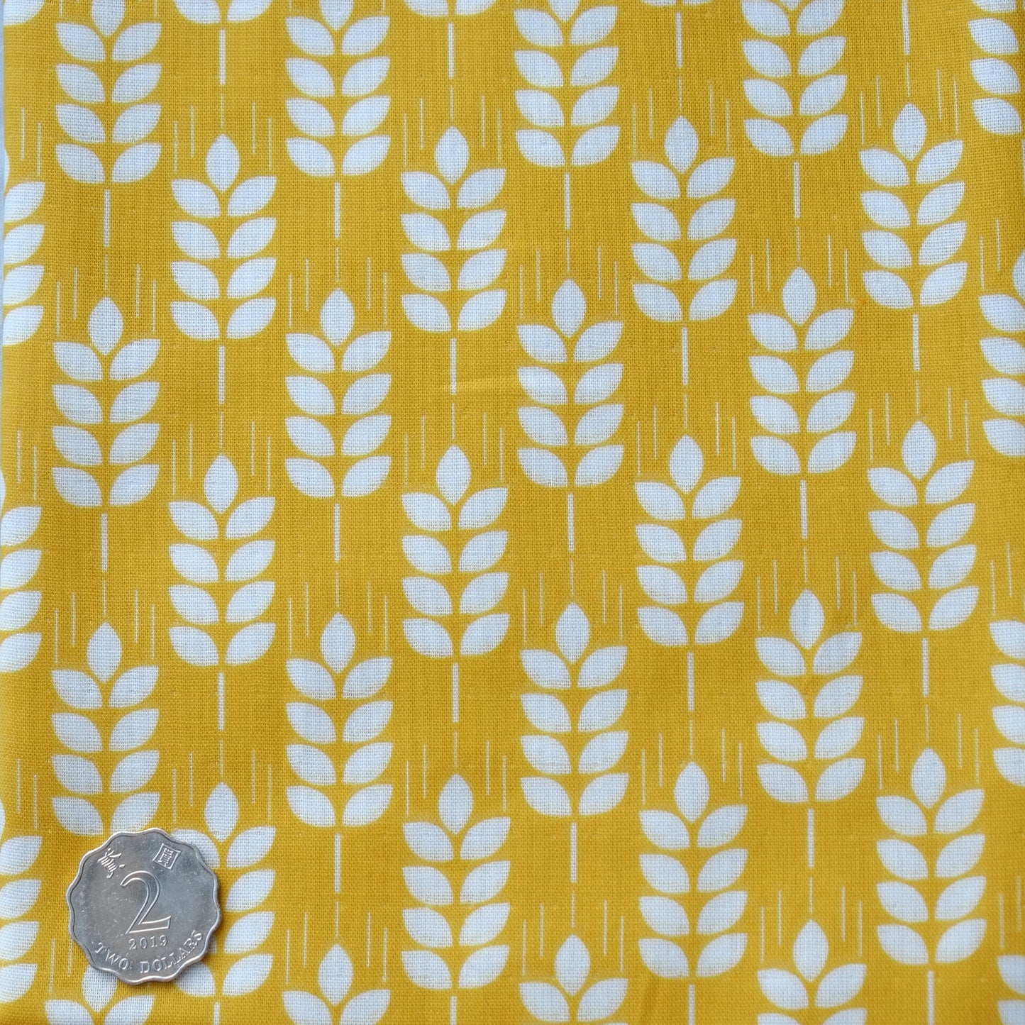 TFTW073 Yellow wheats
