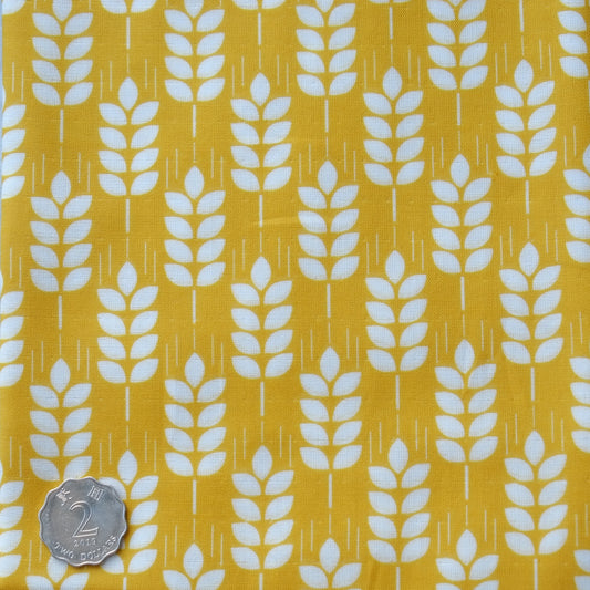 TFTW073 Yellow wheats